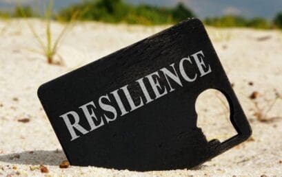 Unveiling the Triumph: The Drivers Behind Entrepreneurial Resilience Among Family Wedding Organizers