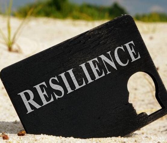 Unveiling the Triumph: The Drivers Behind Entrepreneurial Resilience Among Family Wedding Organizers