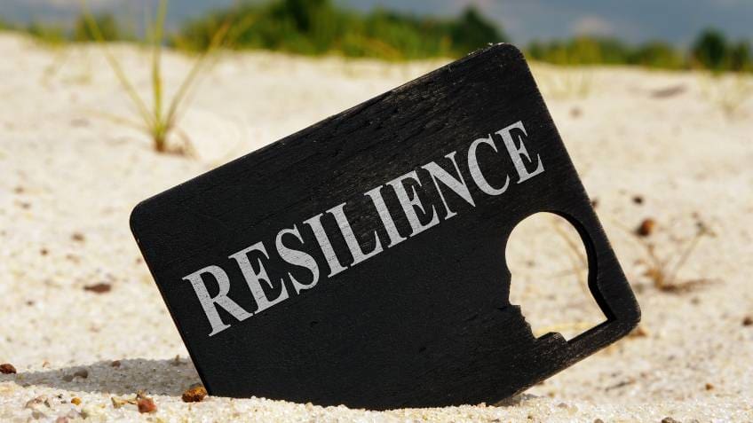 Unveiling the Triumph: The Drivers Behind Entrepreneurial Resilience Among Family Wedding Organizers Unveiling the Triumph: The Drivers Behind Entrepreneurial Resilience Among Family Wedding Organizers